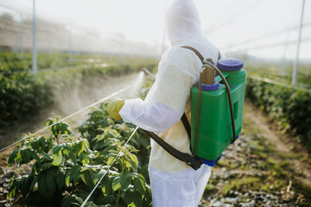 Best Mosquito Control Services  in Lester Prairie, MN